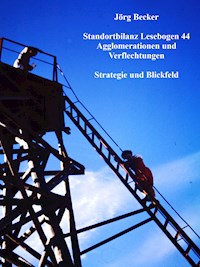 Standortbilanz Lesebogen 44 Agglomerationen und Verflechtungen - Jörg Becker - E-Book