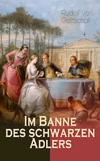 Im Banne des schwarzen Adlers - Rudolf von Gottschall - E-Book