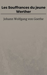 Les Souffrances du jeune Werther - Johann Wolfgang von Goethe - E-Book