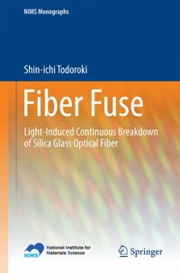 Fiber Fuse - Shin-ichi Todoroki - E-Book