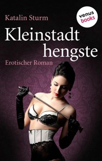 Kleinstadthengste - Katalin Sturm - E-Book