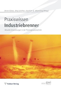 Praxiswissen Industriebrenner -  - E-Book
