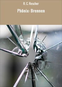 Phönix: Brennen - R. C. Rescher - E-Book