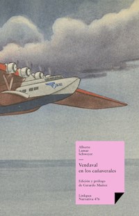 Vendaval en los cañaverales - Alberto Lamar Schweyer - E-Book