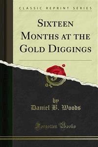 Sixteen Months at the Gold Diggings - Daniel B. Woods - E-Book