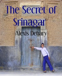 The Secret of Srinagar - Alexis Debary - E-Book