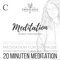 Meditation Lavendel in der Provence - Meditation C - 20 Minuten Meditation - Christiane M. Heyn - Hörbuch