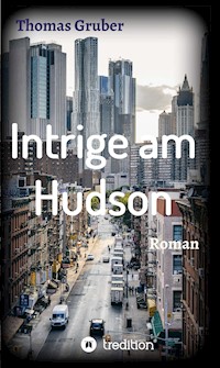 Intrige am Hudson - Thomas Gruber - E-Book