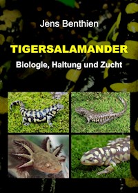 Tigersalamander - Jens Benthien - E-Book