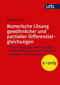 Numerische Lösung gewöhnlicher und partieller Differenzialgleichungen - Jürgen Ulm - E-Book