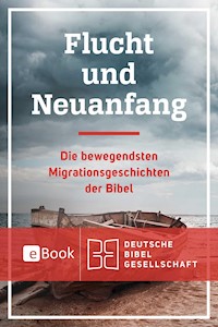 Flucht und Neuanfang - Elsa Tamez - E-Book