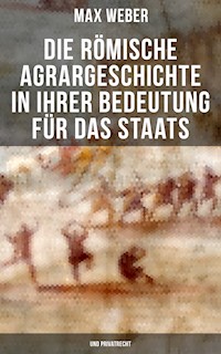 Die römische Agrargeschichte in ihrer Bedeutung für das Staats- und Privatrecht - Max Weber - E-Book