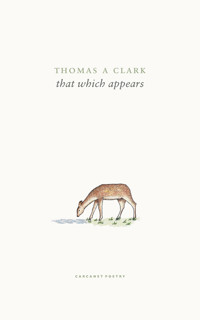 that which appears - Thomas A. Clark - E-Book
