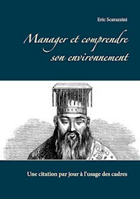 Manager et comprendre son environnement - Eric Scarazzini - E-Book