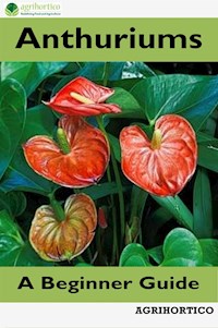 Anthuriums - Agrihortico CPL - E-Book