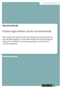 Chancengleichheit auf der Gesamtschule - David Seifarth - E-Book