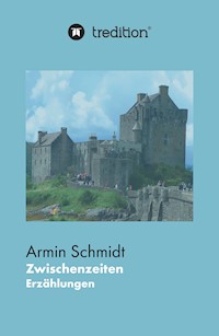 Zwischenzeiten - Armin Schmidt - E-Book