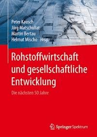 Rohstoffwirtschaft und gesellschaftliche Entwicklung -  - E-Book