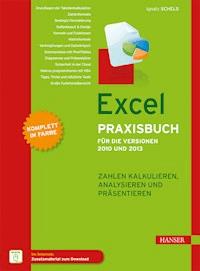 Excel Praxisbuch für die Versionen 2010 und 2013 - Ignatz Schels - E-Book