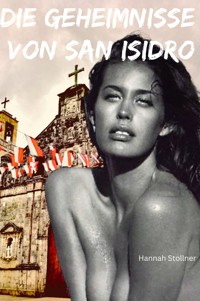 Die Geheimnisse von San Isidro - Hannah Stollner - E-Book