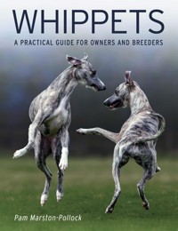 Whippets - Pam Marston-Pollock - E-Book