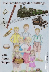 Die Familiensaga der Pfäfflings - Agnes Sapper - E-Book