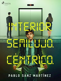 Interior. Semilujo. Céntrico. - Pablo Sanz Martínez - E-Book