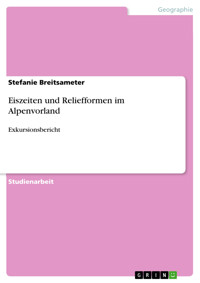 Eiszeiten und Reliefformen im Alpenvorland - Stefanie Breitsameter - E-Book