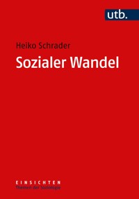 Sozialer Wandel - Heiko Schrader - E-Book