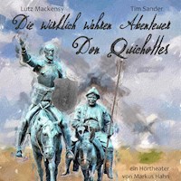 Die wirklich wahren Abenteuer Don Quichottes - Markus Hahn - Hörbuch