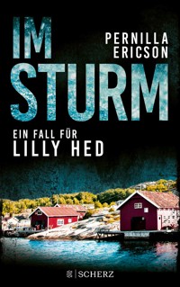Im Sturm - Pernilla Ericson - E-Book
