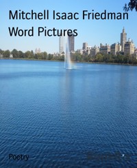 Word Pictures - Mitchell Isaac Friedman - E-Book