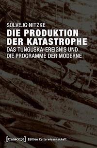 Die Produktion der Katastrophe - Solvejg Nitzke - E-Book
