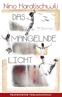 Das mangelnde Licht - Nino Haratischwili - E-Book