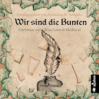 Wir sind die Bunten. Erlebnisse auf dem Festival-Mediaval - Tommy Krappweis - Hörbuch
