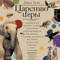 Царство игры - Дэвид Туми - Hörbuch