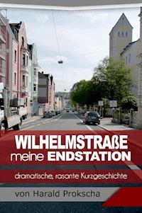 Wilhelmstraße meine Endstation - Harald Prokscha - E-Book