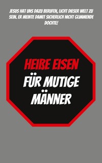 Heiße Eisen für Mutige Männer - Roland Karwel - E-Book