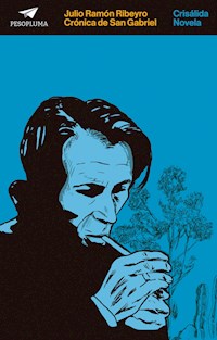 Crónica de San Gabriel - Julio Ramón Ribeyro - E-Book