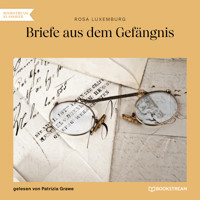 Briefe aus dem Gefängnis (Ungekürzt) - Rosa Luxemburg - Hörbuch