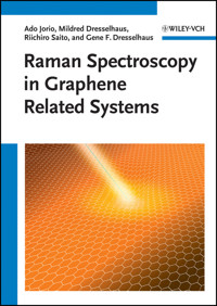 Raman Spectroscopy in Graphene Related Systems - Ado Jorio - E-Book