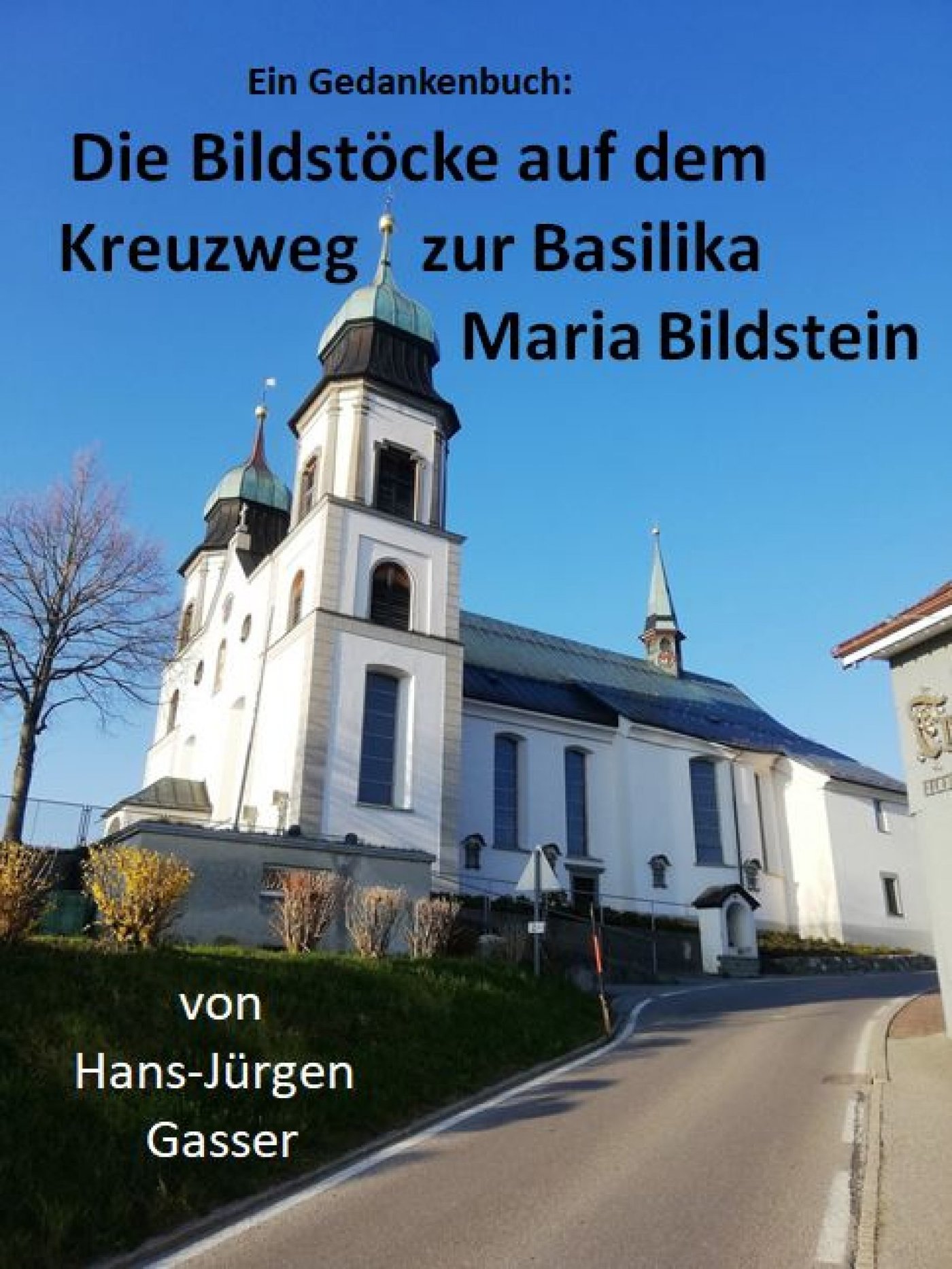Die Bildstöcke auf dem Kreuzweg zur Basilika Maria Bildstein - Hans-Jürgen Gasser - E-Book