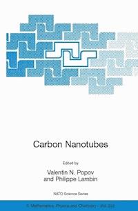 Carbon Nanotubes: From Basic Research to Nanotechnology -  - E-Book