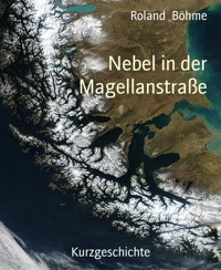 Nebel in der Magellanstraße - Roland Böhme - E-Book