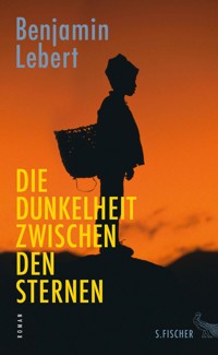 Die Dunkelheit zwischen den Sternen - Benjamin Lebert - E-Book