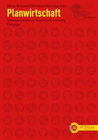 Planwirtschaft - Helene Bauer - E-Book