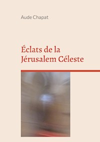 Éclats de la Jérusalem Céleste - Aude Chapat - E-Book