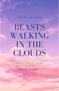 Beasts walking in the clouds - Billy Angell - E-Book
