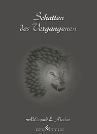Schatten des Vergangenen Band 2 - Hildegard E. Merkes - E-Book
