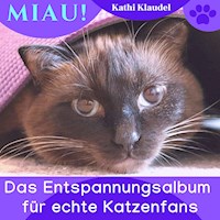 Miau! - Kathi Klaudel - Hörbuch